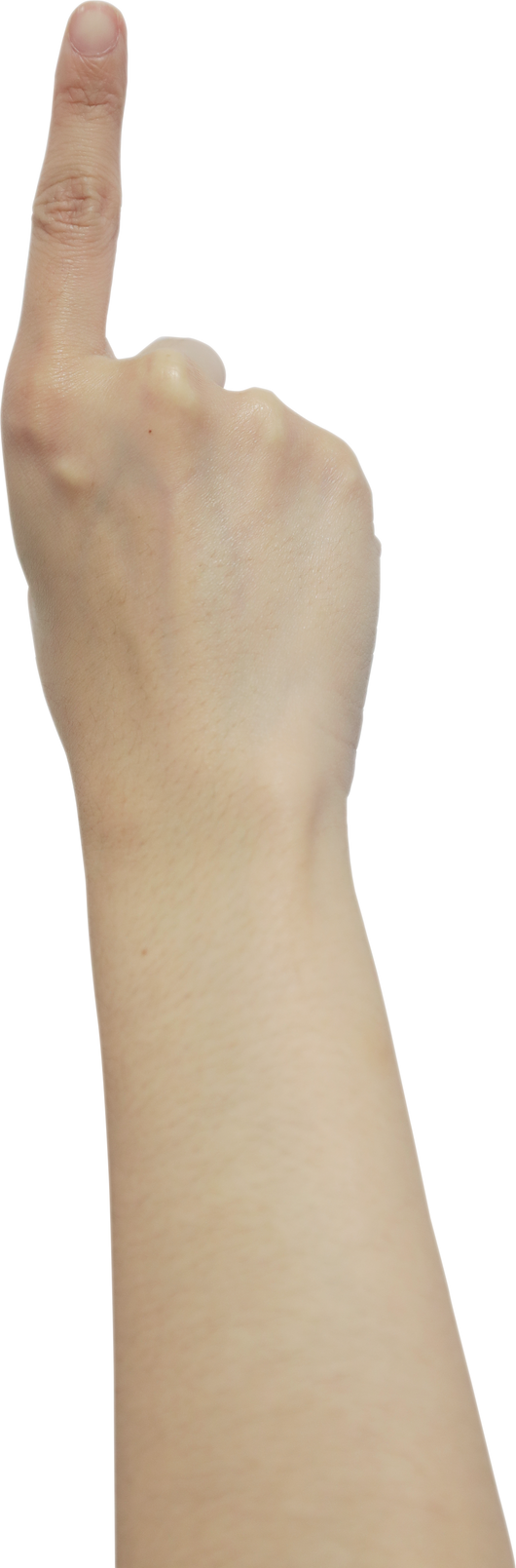 Human Hand Gesture